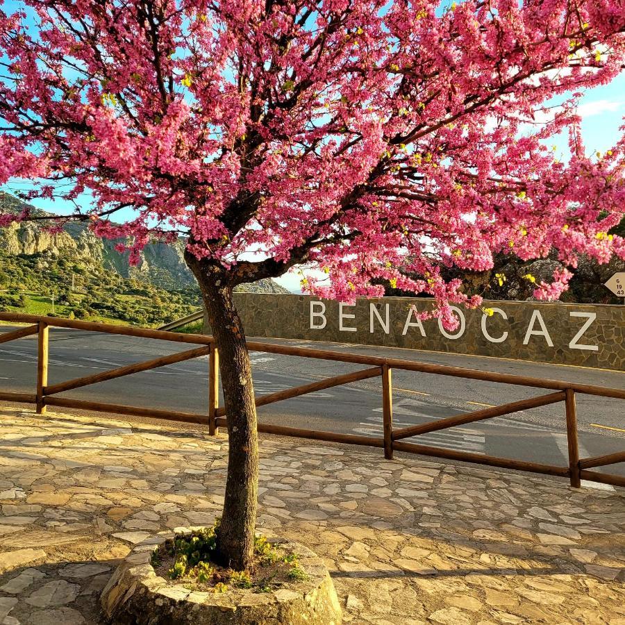 Apartamento Luminoso piso con vistas y chimenea en Benaocaz Exterior foto